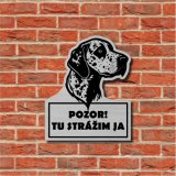 Harapós kutya tábla Dalmata 2