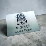 Vigyázz a kutya tábla berni pásztorkutya