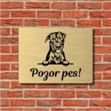Tábla Vigyázz a kutya Ír farkaskutya