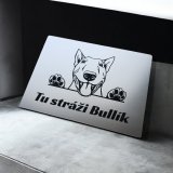 Tábla Vigyázz a kutya Bullterrier
