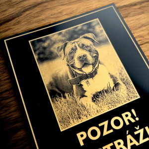 Vigyázz a kutya tábla saját fényképpel